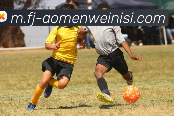 威尼斯人官网APP 封面图